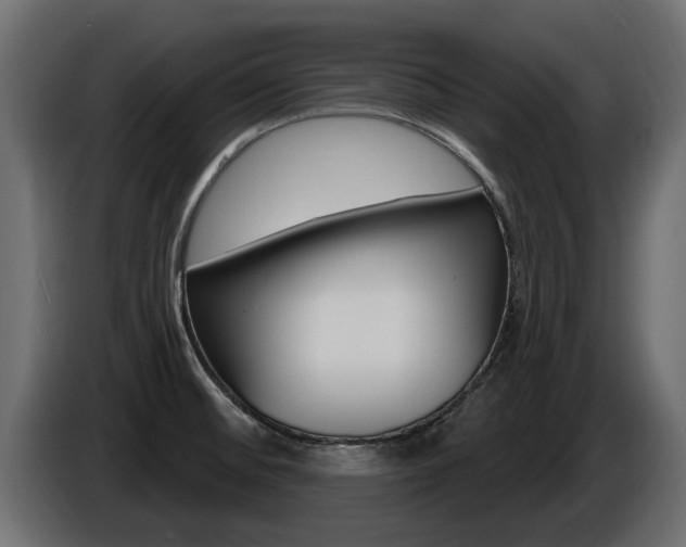 X0000086731476200704130737