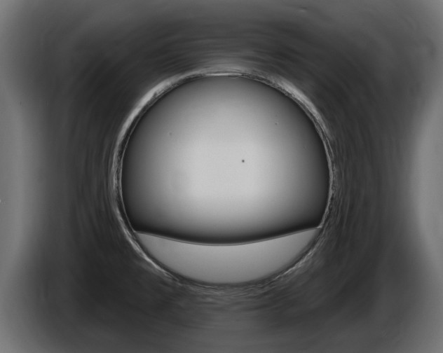 X0000086731477200704130737