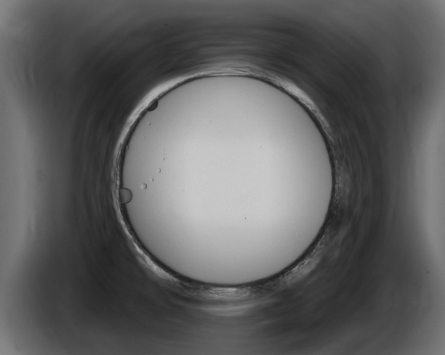 X0000086731478200704130737