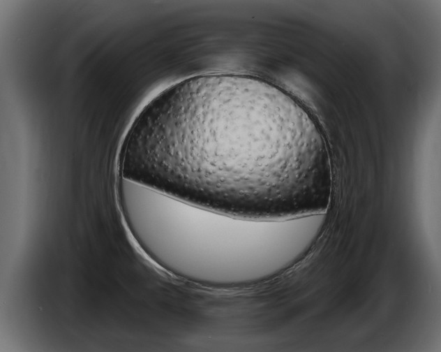 X0000086731479200704130737