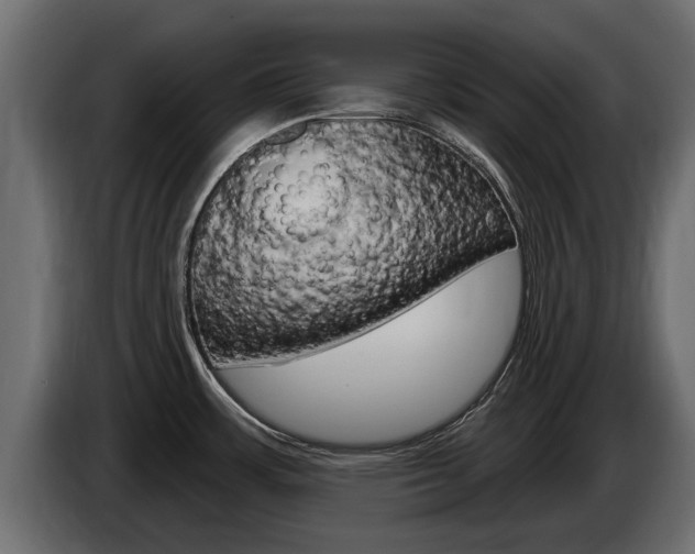 X0000086731483200704130737