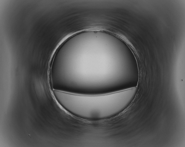X0000086731484200704130737