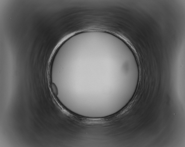 X0000086731486200704130737
