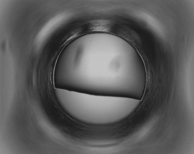 X0000086731487200704130737