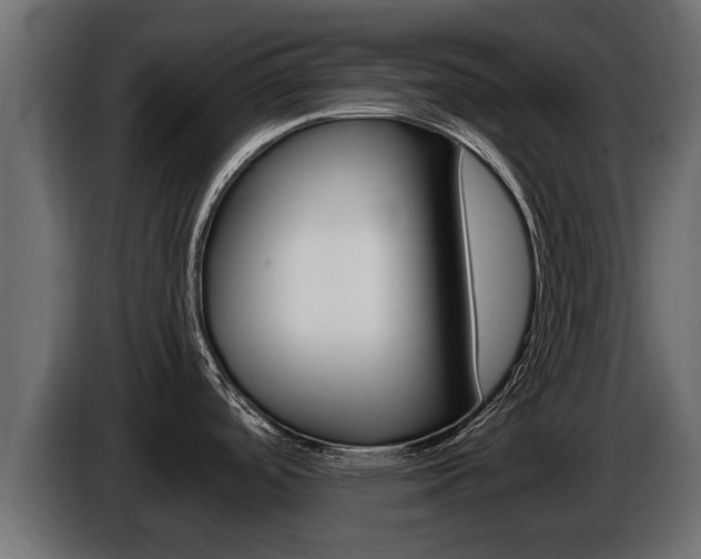 X0000086731488200704130737