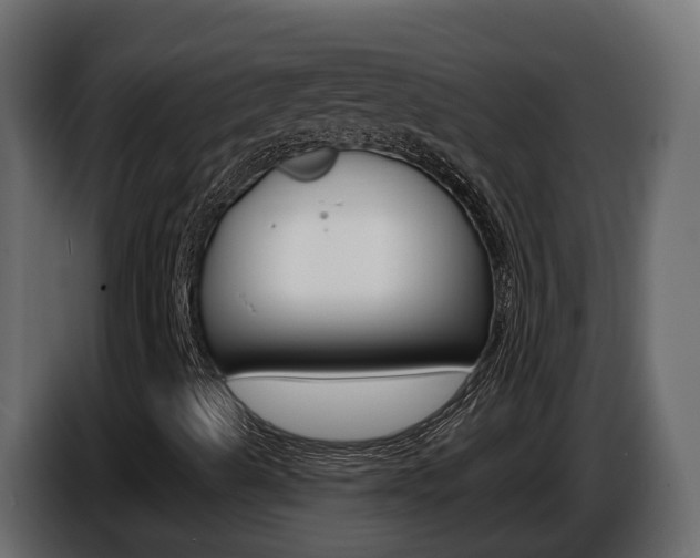 X0000086731489200704130736
