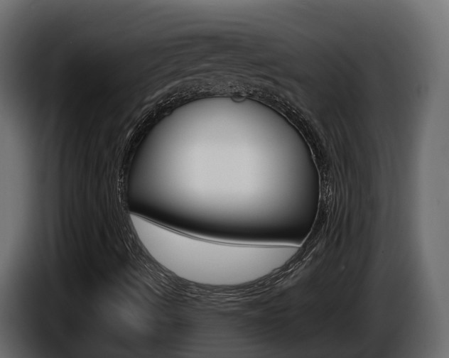 X0000086731490200704130737