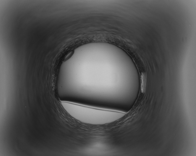 X0000086731491200704130737