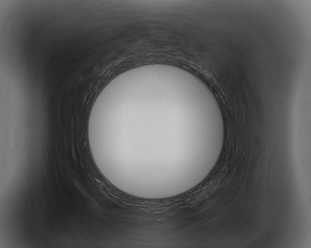 X0000086731492200704130737