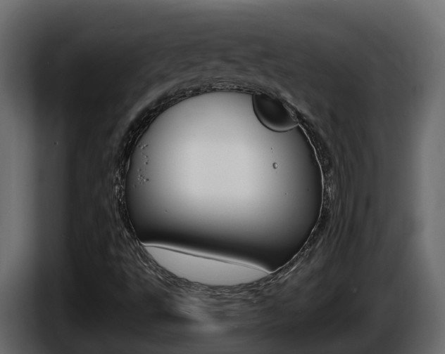 X0000086731495200704130737