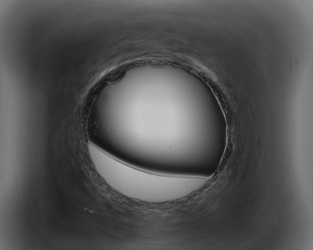 X0000086731496200704130737