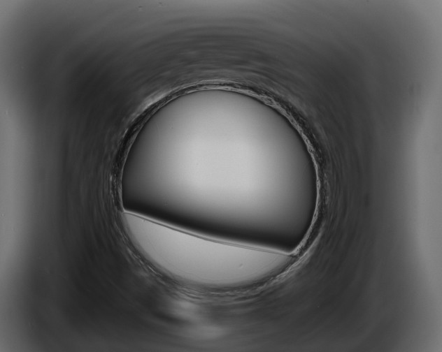 X0000086731497200704130737