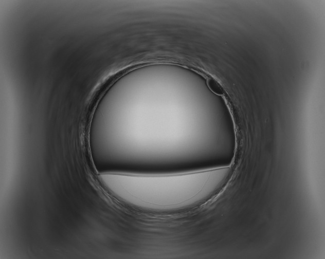 X0000086731499200704130737