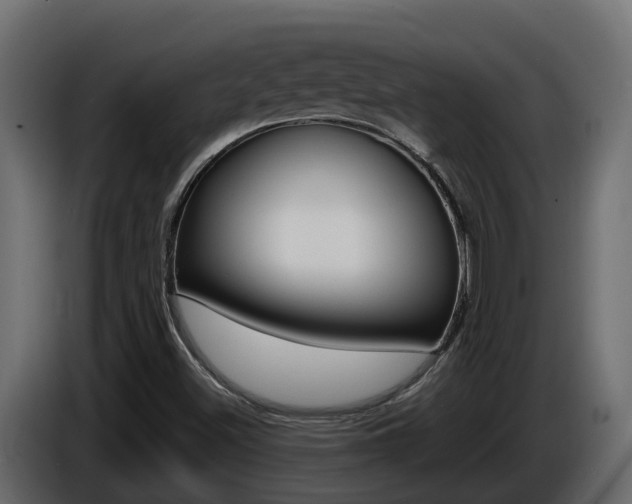 X0000086731500200704130737