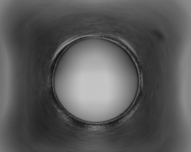 X0000086731501200704130737