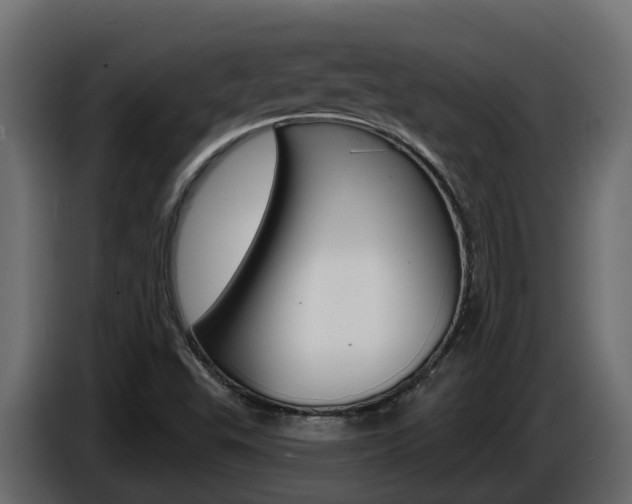 X0000086731503200704130737