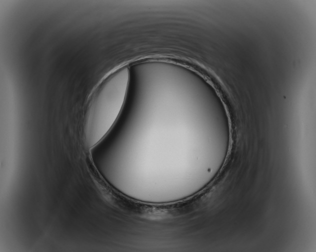 X0000086731505200704130737