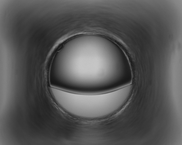 X0000086731506200704130737