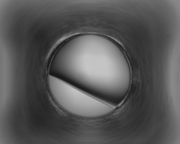 X0000086731507200704130737