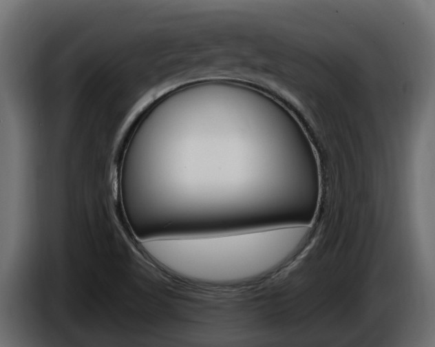 X0000086731509200704130737
