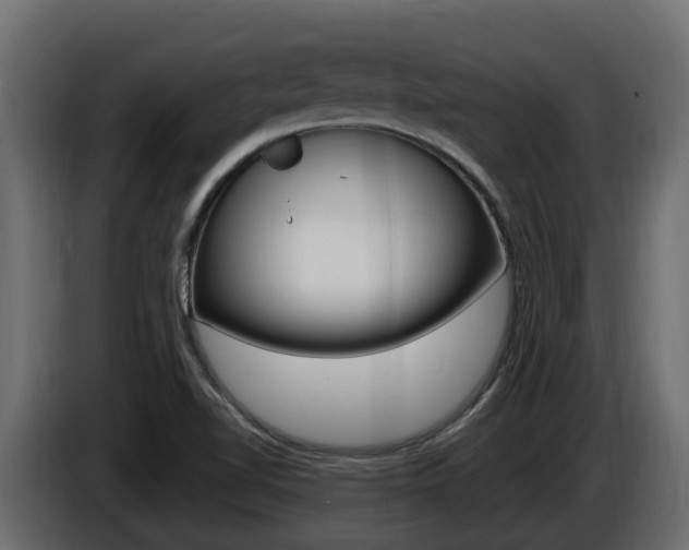 X0000086731510200704130737