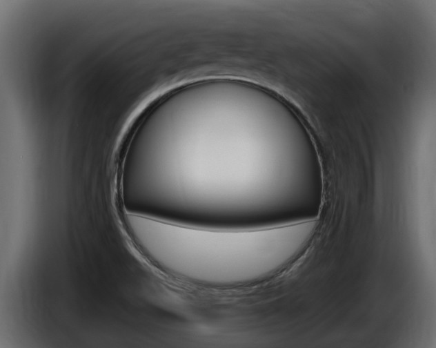 X0000086731511200704130737