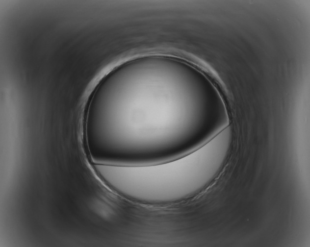 X0000086731512200704130737