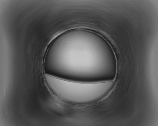 X0000086731513200704130737
