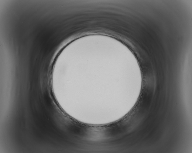 X0000086731514200704130737