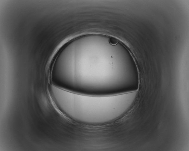 X0000086731515200704130737