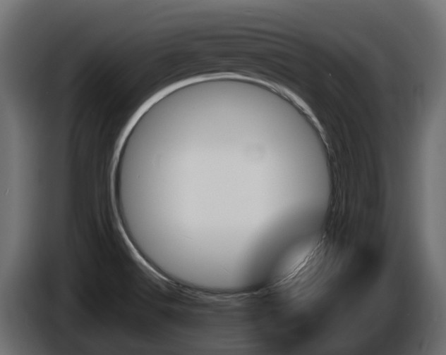 X0000086731516200704130737