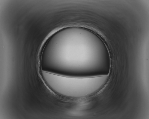 X0000086731517200704130737