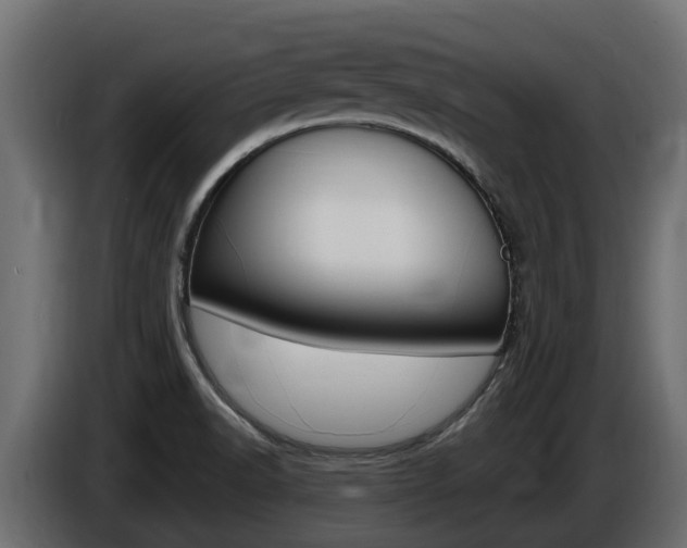 X0000086731518200704130737