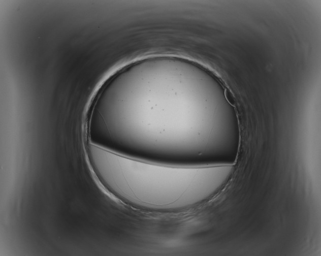 X0000086731519200704130737
