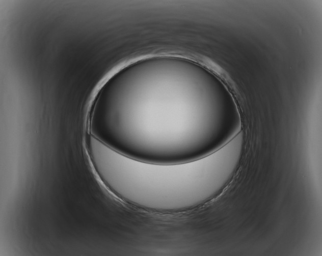 X0000086731520200704130737