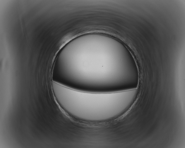 X0000086731521200704130737
