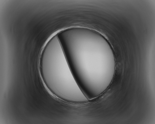 X0000086731523200704130737