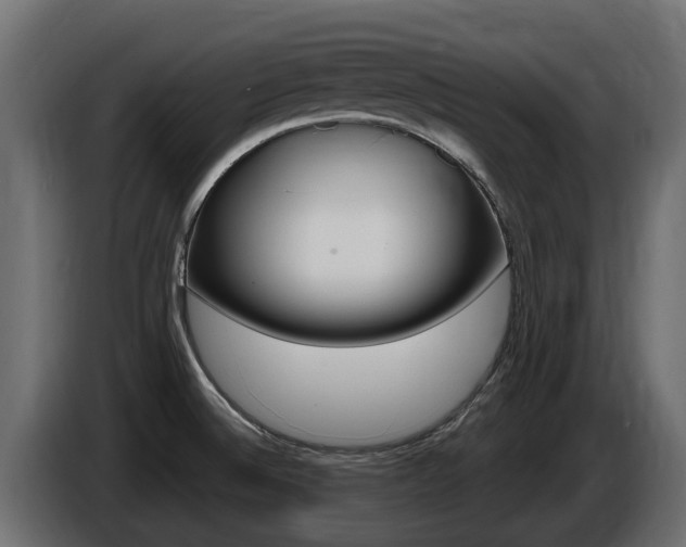 X0000086731524200704130737