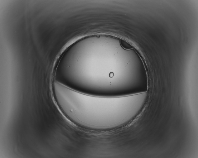 X0000086731525200704130737