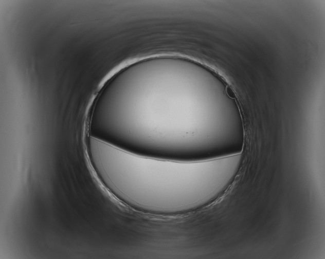 X0000086731526200704130737