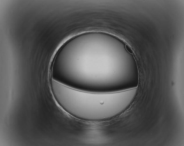 X0000086731527200704130737