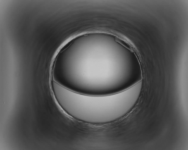 X0000086731528200704130737