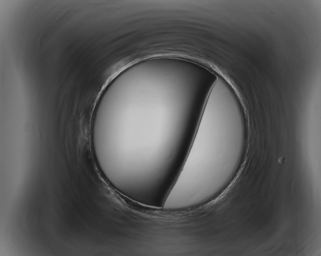 X0000086731529200704130737