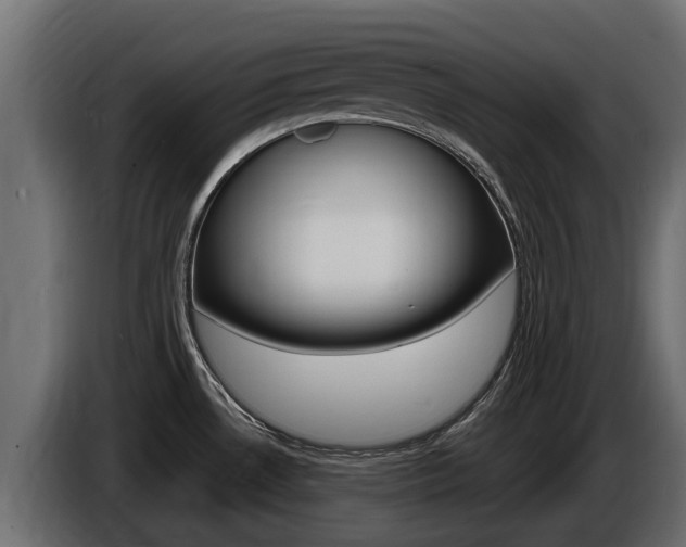 X0000086731530200704130737