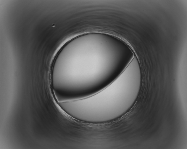 X0000086731531200704130737