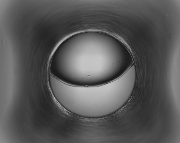 X0000086731532200704130737