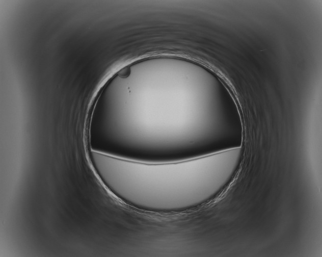 X0000086731533200704130737