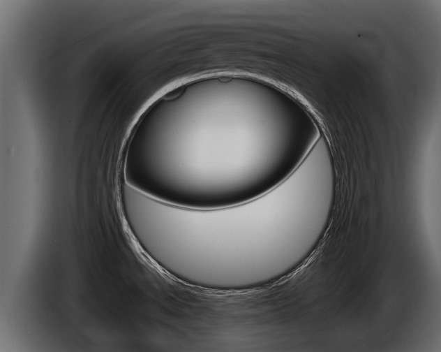 X0000086731534200704130737