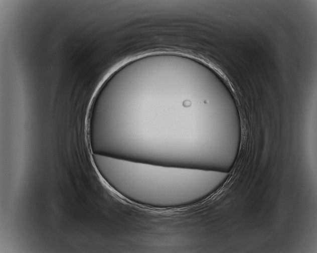 X0000086731535200704130737
