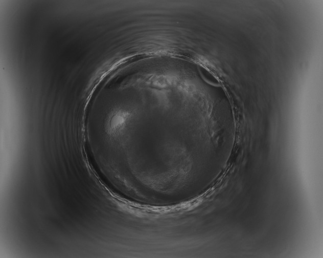 X0000086730002200704131117